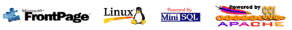 Front Page, Real Audio, Java