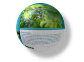 Affordable Web Hosting, Cheap Domain Hosting, Low Cost Web Hosting